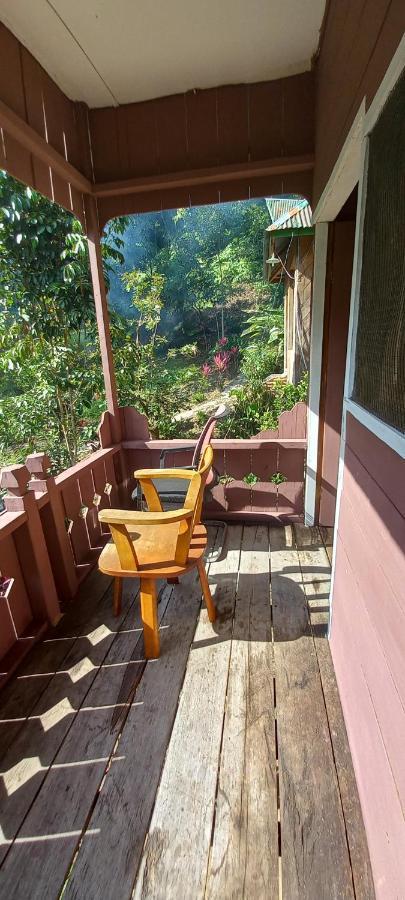 Pak Mus Guest House Ketambe - 0813-7072-1793 Kutacane Zewnętrze zdjęcie