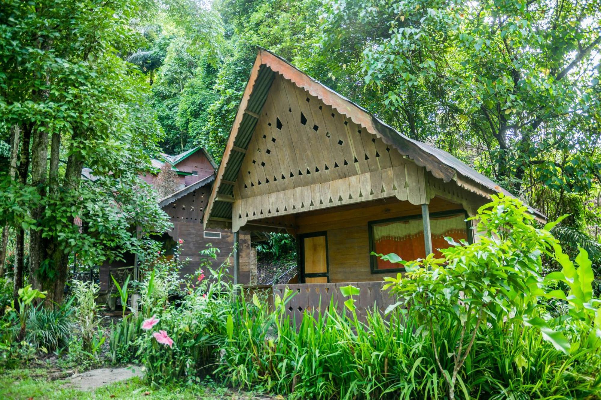 Pak Mus Guest House Ketambe - 0813-7072-1793 Kutacane Zewnętrze zdjęcie