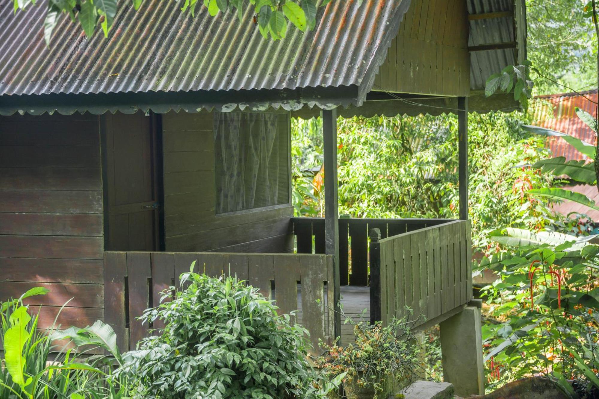 Pak Mus Guest House Ketambe - 0813-7072-1793 Kutacane Zewnętrze zdjęcie