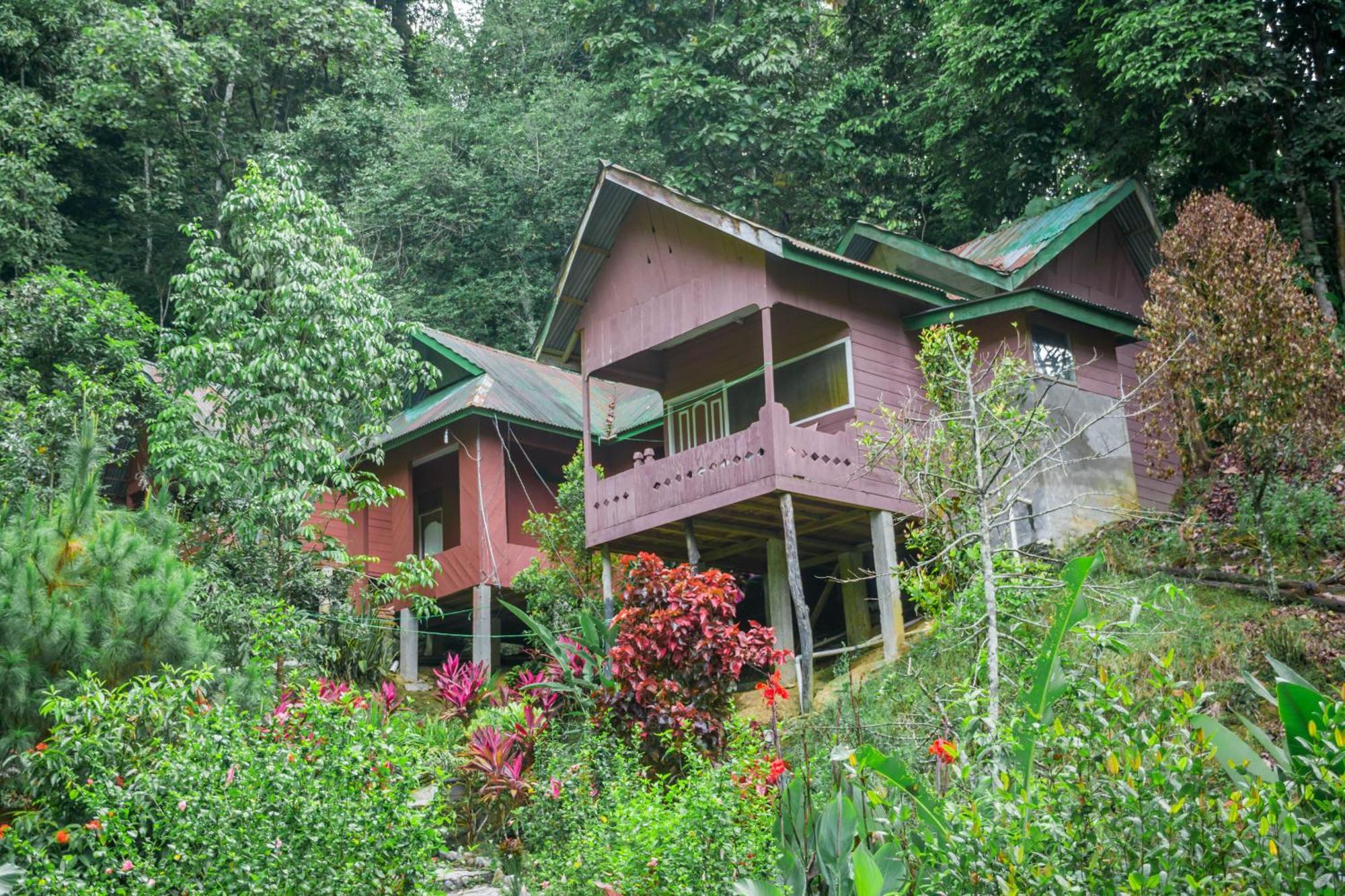 Pak Mus Guest House Ketambe - 0813-7072-1793 Kutacane Zewnętrze zdjęcie