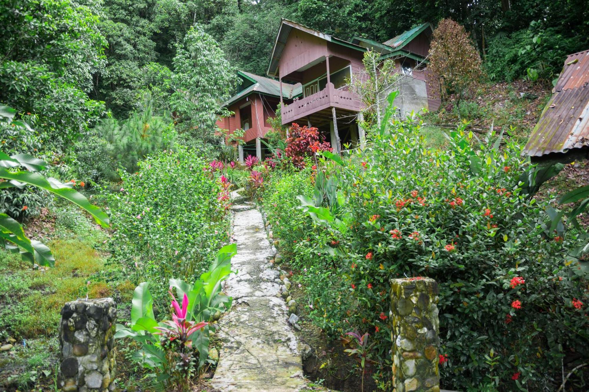 Pak Mus Guest House Ketambe - 0813-7072-1793 Kutacane Zewnętrze zdjęcie