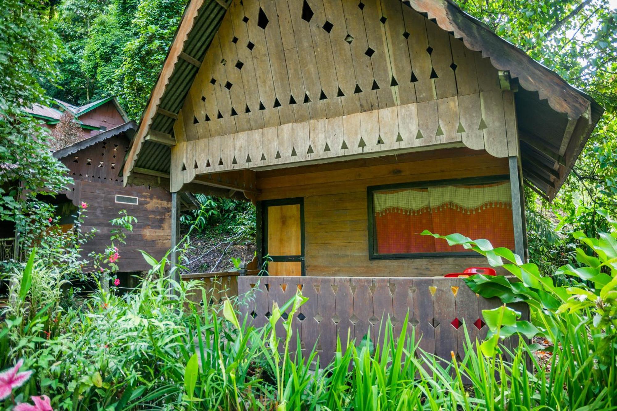 Pak Mus Guest House Ketambe - 0813-7072-1793 Kutacane Zewnętrze zdjęcie