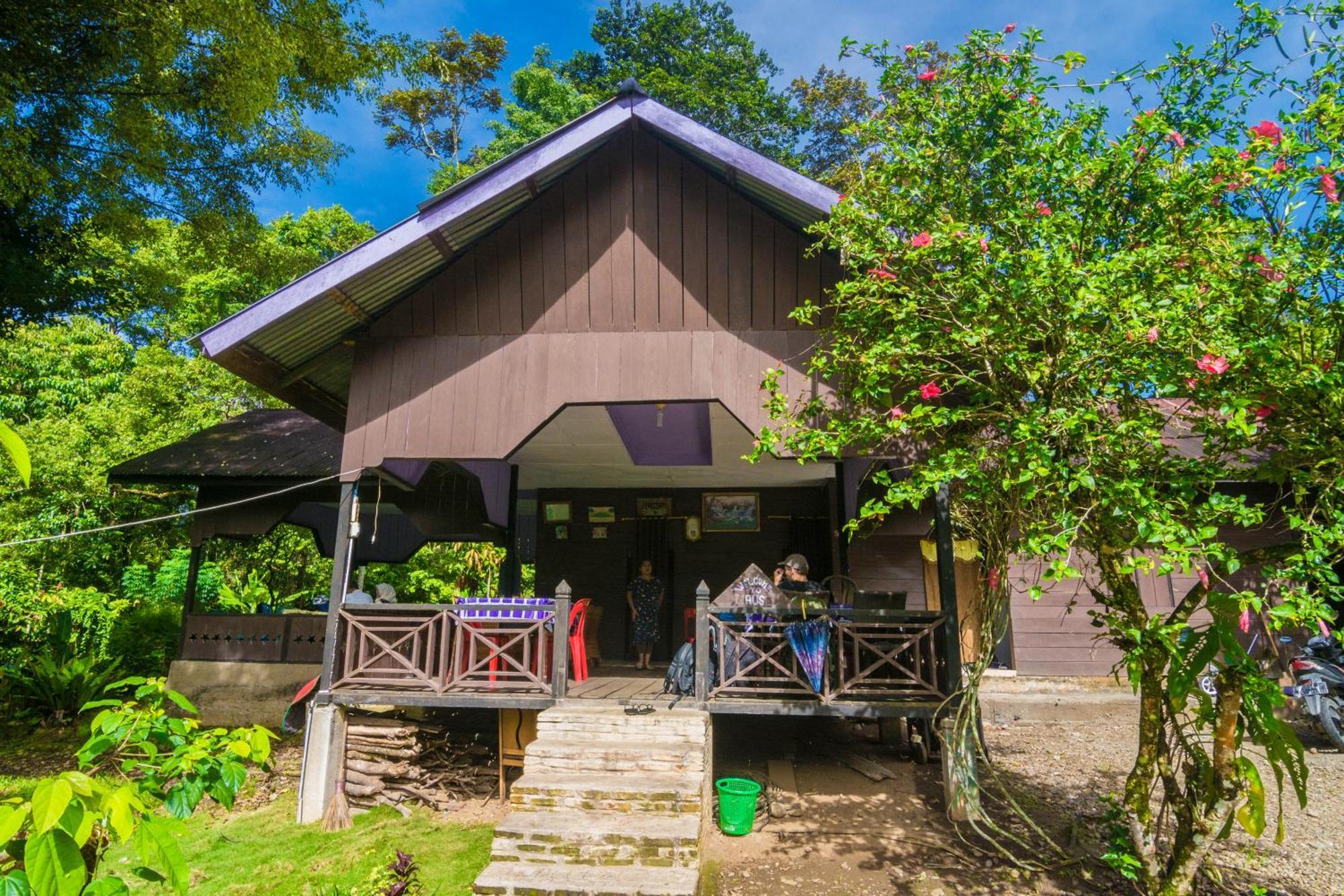Pak Mus Guest House Ketambe - 0813-7072-1793 Kutacane Zewnętrze zdjęcie
