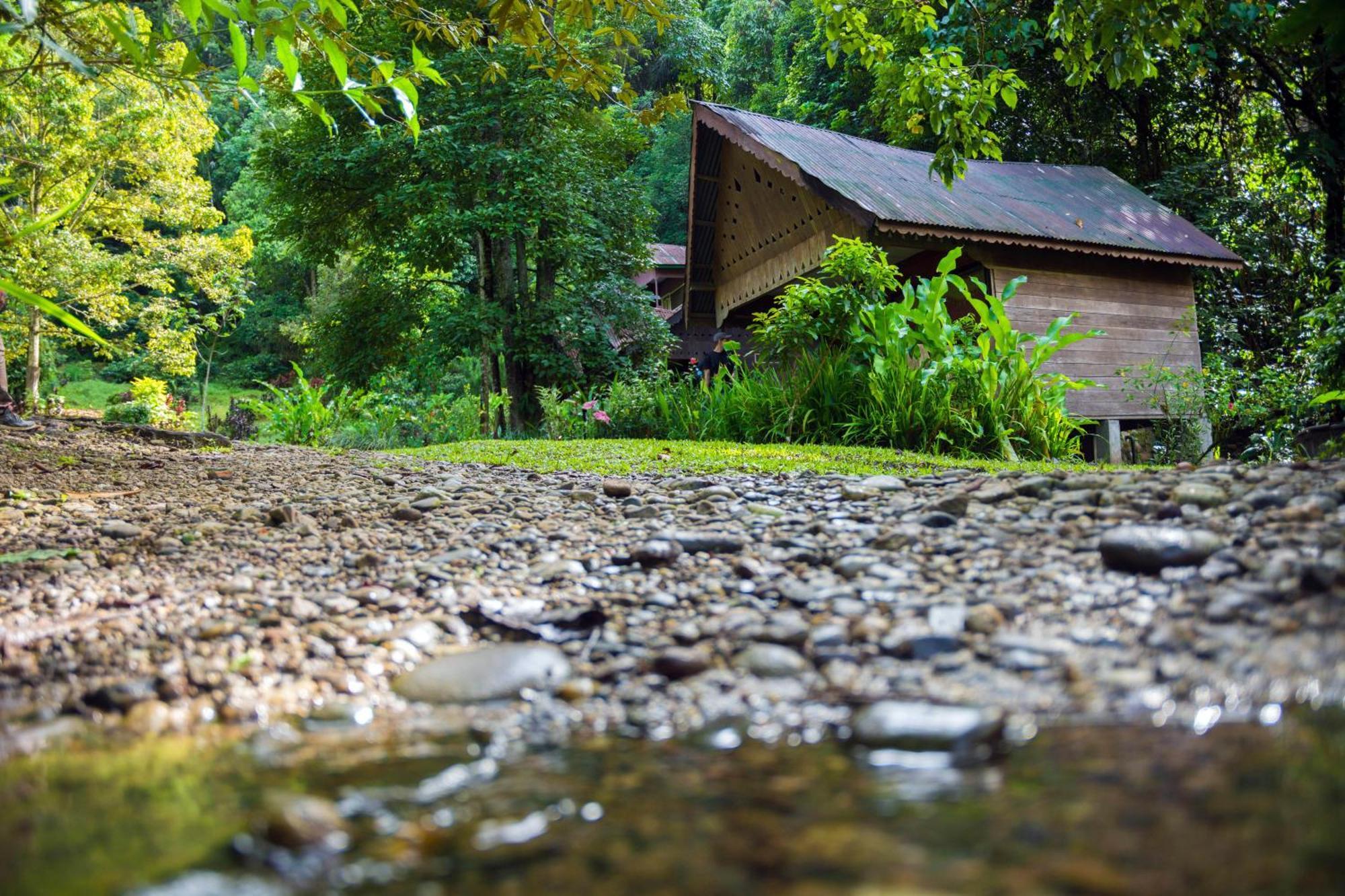 Pak Mus Guest House Ketambe - 0813-7072-1793 Kutacane Zewnętrze zdjęcie